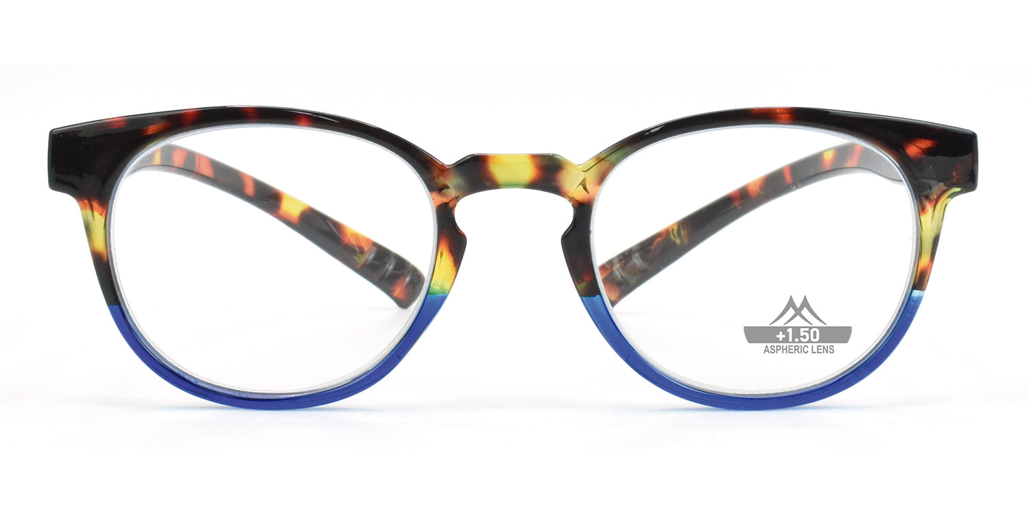 turtle - blue