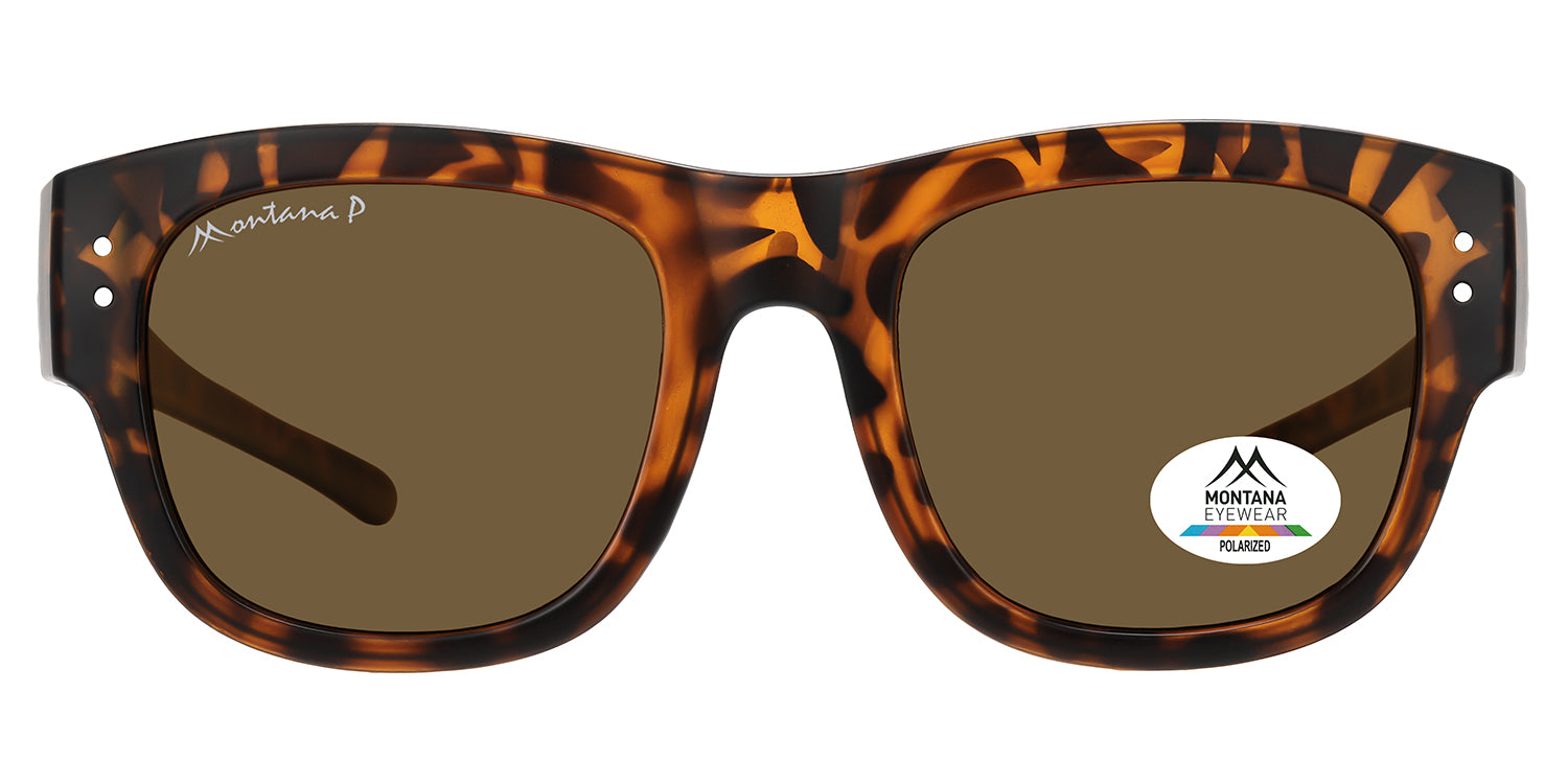 matt turtle - brown lenses