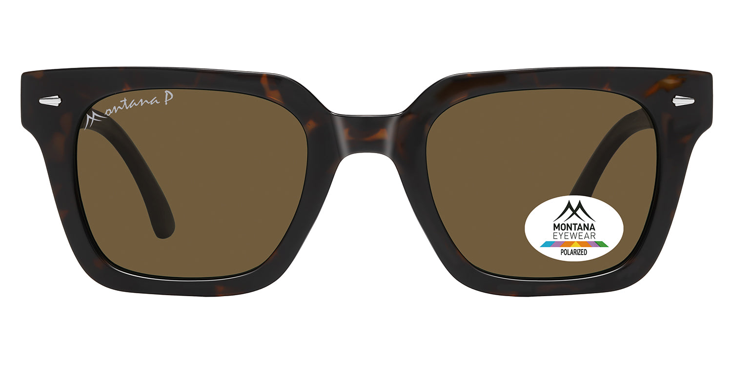 shiny dark turtle - brown lenses