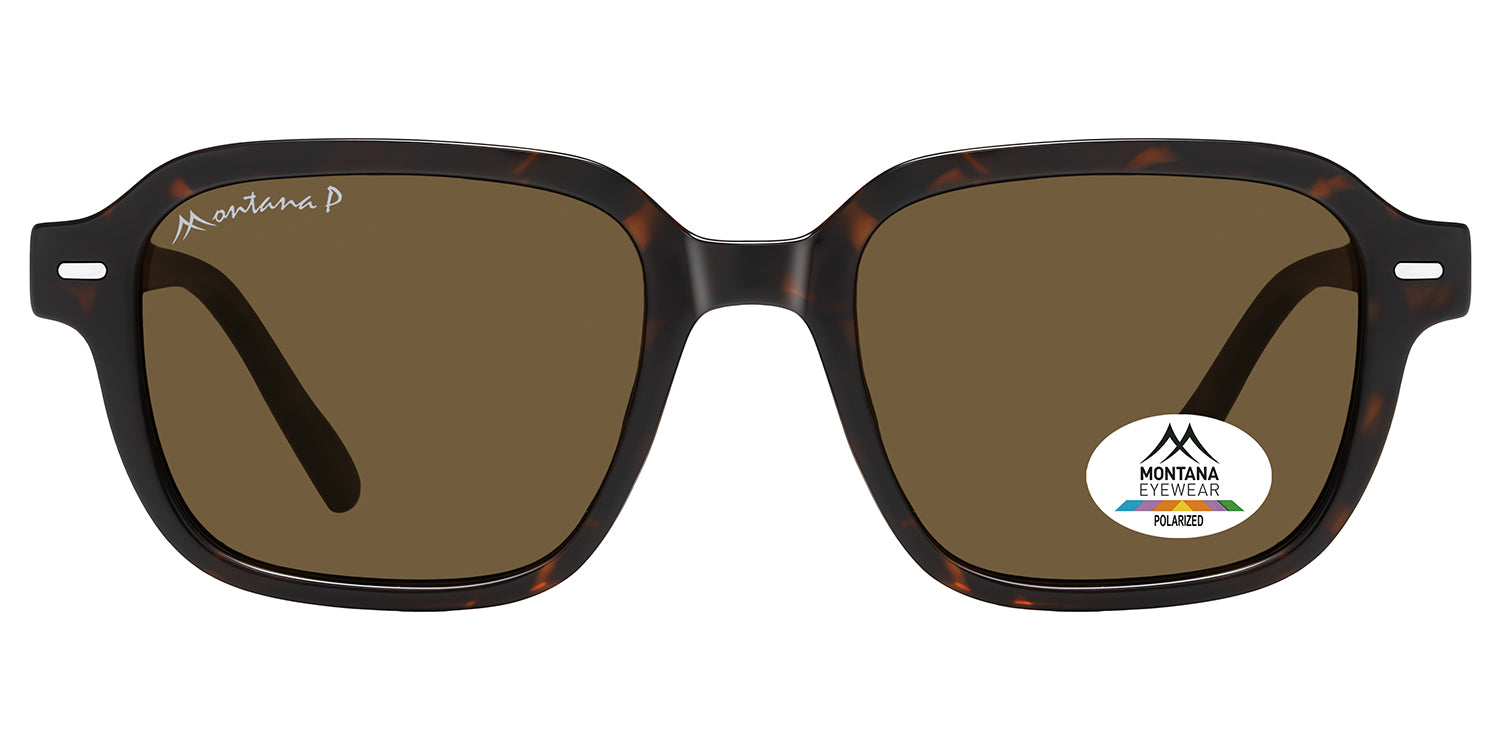 shiny dark turtle - brown lenses