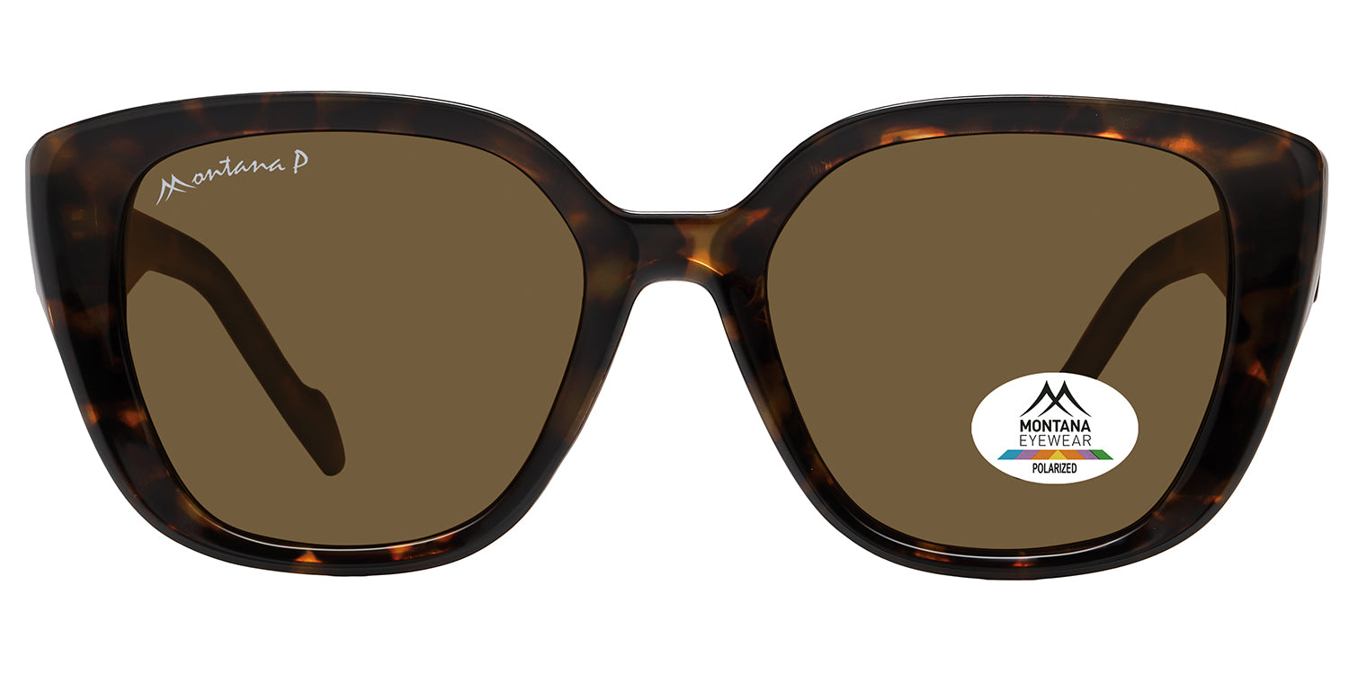 écaille foncée brillante - verres marrons